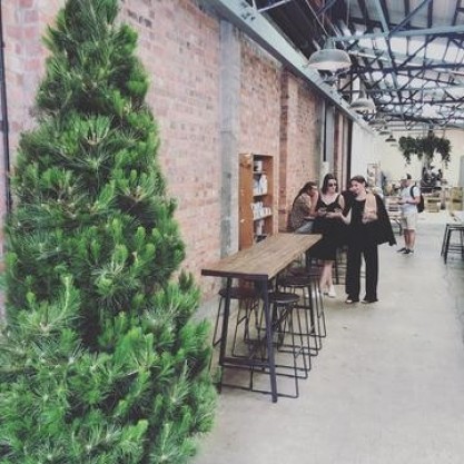 christmas tree delivery cafe auckland 360x