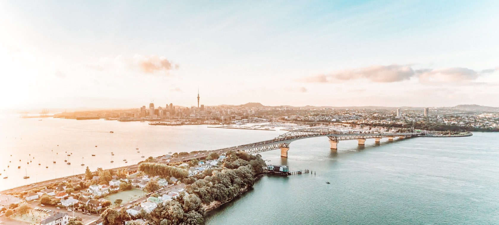 St Nick's Real Christmas Trees Auckland NZ