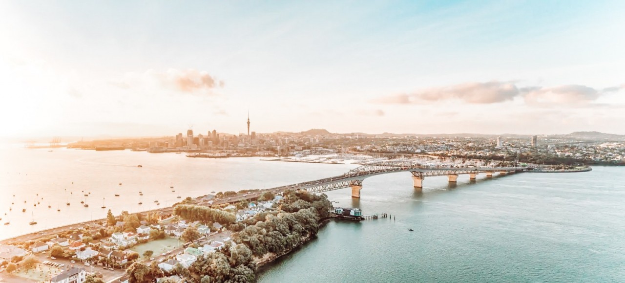 St Nick's Real Christmas Trees Auckland NZ